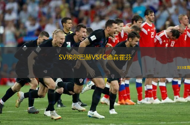 SV埃尔巴赫VSFC德森霍芬