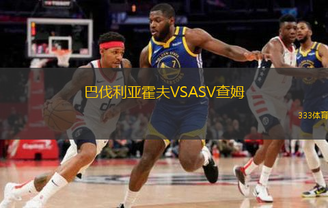巴伐利亚霍夫VSASV查姆