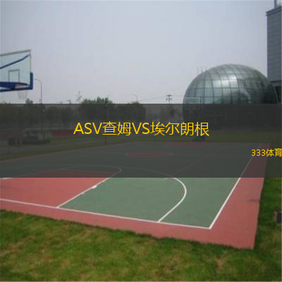 ASV查姆VS埃尔朗根
