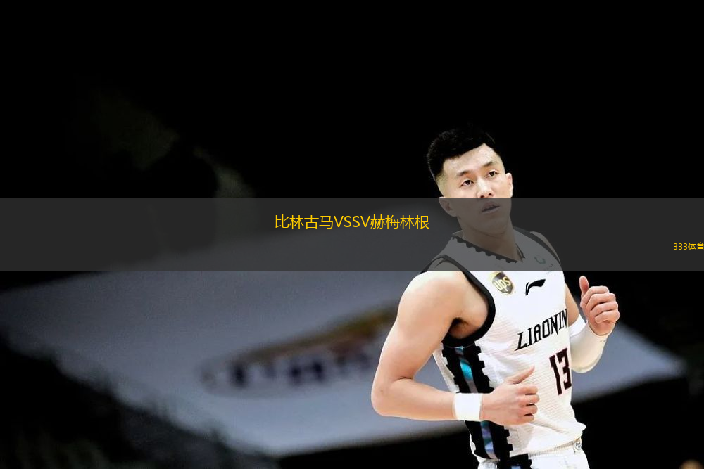 比林古马VSSV赫梅林根
